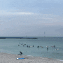 “월정파도서핑” 제주도이색체험 바다서핑 동쪽바다 구좌읍 물놀이