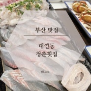 대연동 맛집 청춘횟집, 신선한 회가 일품