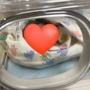 [출산일기] 37주 3일차 유도분만 및 선택 제왕절개 국민건강보험공단 일산병원 출산일기 2탄
