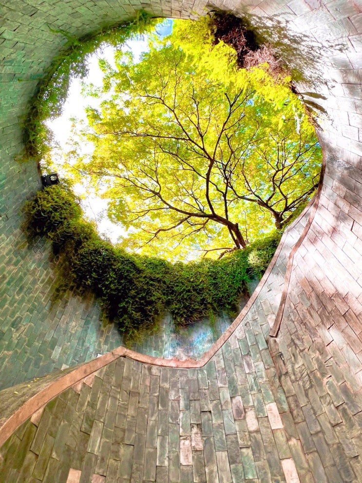 싱가포르 도심 속 공원 - Fort Canning Park (Fort Canning Tree Tunnel) : 네이버 블로그
