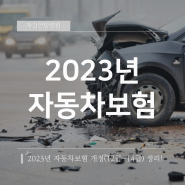 자강한방병원에서 알려주는 2023 자동차보험 개정(12급~14급)