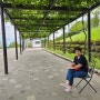 일본에서 인기있는 곳 야마나시 후르츠공원