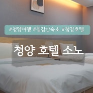 청양 여행 깔끔한 칠갑산 숙소 호텔 소노