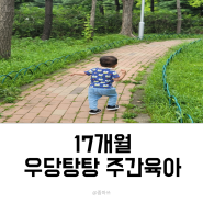 17개월 / 우당탕탕 주간육아