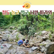 청도 키즈 물놀이 남산계곡, 육회비빔밥 성지 청도가마솥국밥까지.