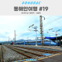 동해안 여행 #19. 마지막 날 | 동해역에서 서울역까지 KTX 타고 이동