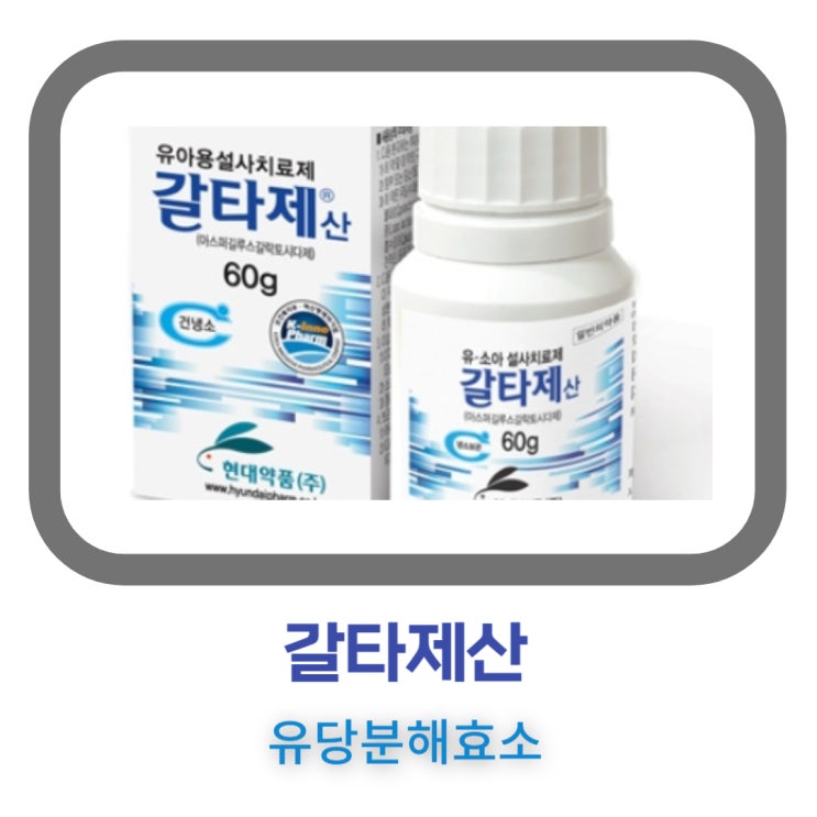 유소아 설사 치료제 갈타제산 유당불내증 효능 효과 부작용 분석 : 네이버 블로그