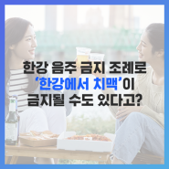 한강 음주 금지 조례로 ‘한강에서 치맥’이 금지될 수도 있다고?