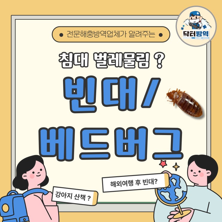 빈대(베드버그) 물린자국이 있어요ㅠ 빈대없애는법 알아보자 : 네이버 블로그