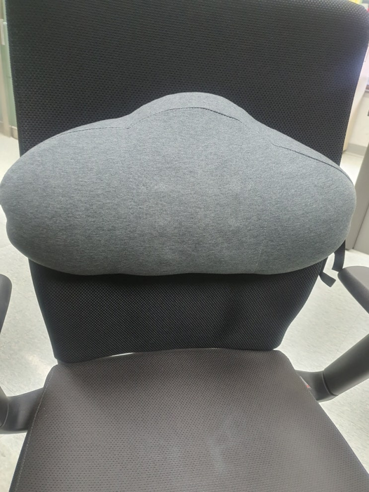 캔산드샵 허리받침대 사무실의자 등받이 쿠션(휴대가능. 바른자세를 위해 좋아요!) : 네이버 블로그