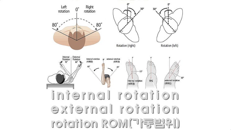 rotation(회전), internal rotation(내회전), external rotation(외회전)의 관절 별 정상 ...