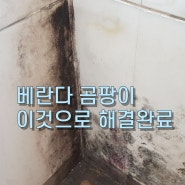 베란다 곰팡이 이것으로 해결완료