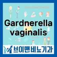 Gardnerella vaginalis 감염되면 남자 여자 동시에 치료하는 이유