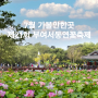 7월 가볼만한곳 궁남지 제 21회 부여서동연꽃축제 기본정보