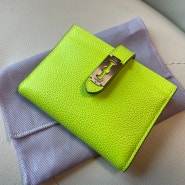 Magpie card Wallet Hihkey Green (분크 맥파이 카드지갑 하이키그린)