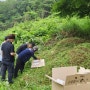 순천 광양 여수 공동묘지개장 묘이장전문업체 주)하늘묘지이장공사