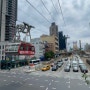 뉴욕 여행 : 루즈벨트 아일랜드 트램 Roosevelt Island Tramway 🚠