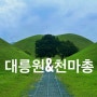 경주 대릉원 천마총 : 주차, 무료개방, 포토존, 입장료 등