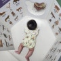 유트러스 아기병풍 터미타임부터 유아기까지 꿀템