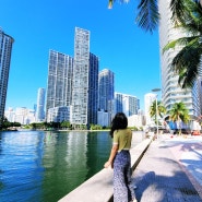 [미국 마이애미] 미국 플로리다 마이애미(Miami) 여행지 및 맛집 후기