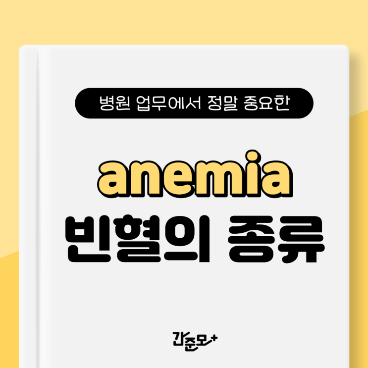 아네미아(anemia) 빈혈 종류별 특징 총정리! - 재생불량성 빈혈, 철결핍성 빈혈, 비타민 B12 부족빈혈, 엽산결핍성 빈혈 ...
