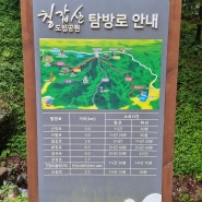 충남청양 : 칠갑산 (해발 561m)