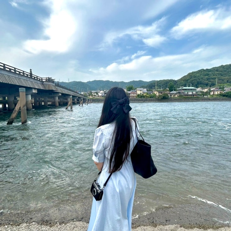 교토 근교 녹차마을 우지 여행_ 뵤도인, 나카무라토키치, 후시미이....