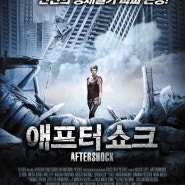 영화 애프터 쇼크(Aftershock, 2013) 리뷰