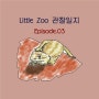Little Zoo(리틀쥬) 관찰일지 Ep.03 비어디 드래곤(도마뱀) 이야기