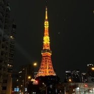 일본 도쿄여행 2일차 : 도쿄타워 갔다가 돈키호테 쇼핑!
