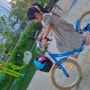 [구매후기]삼천리 딩고20 알루미늄 어린이자전거#V브레이크/6살 네발 자전거/18인치 20인치 고민이라면/키110cm이상/짐받이 장착