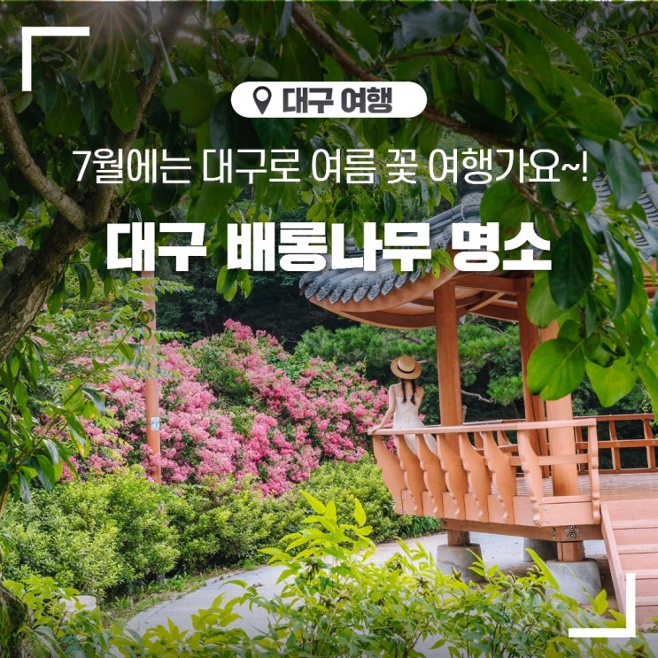 7월 대구 가볼만한곳 배롱나무 명소 하목정 옻골마을 23.07....