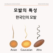 한국인 모발의 특성에 대한 고찰 : 밀도, 굵기