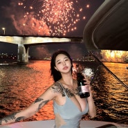 BTS 방탄소년단 10주년 페스타 불꽃축제 요트투어 여의도 한강공원