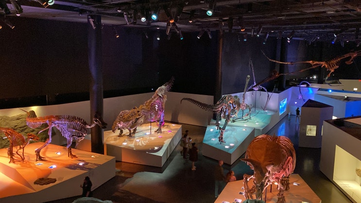 텍사스 휴스턴 자연과학 박물관(Houston Museum of Natural Science). : 네이버 블로그