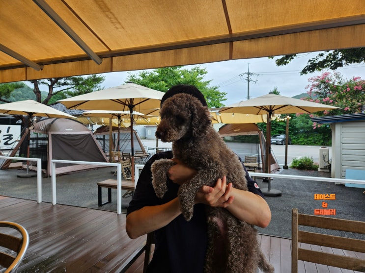 용인 강아지 동반 브런치 카페 (슬로우제이커피공장)