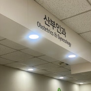 일반산모가 분당서울대학교병원으로 출산병원 결정한 이유 | 대학병원 일반병원 비교, 전원시기, 전원 준비서류