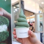 여수 이순신광장 여수당 내돈내산 쑥 아이스크림 먹은 후기