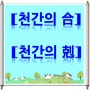 천간(天干)의 합(合)과 극(剋)