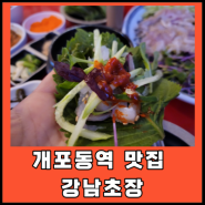 소개하면 감사 인사받는 개포동역 맛집:강남초장