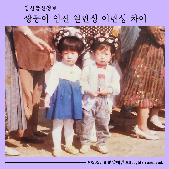 일란성 이란성 쌍둥이 차이 임신 출산 정보 : 네이버 블로그