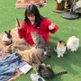 영흥도 고양이역카페 특별한 경험을 할수있는 고양이보호소