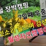 장마철 장박캠핑/7일째 우중캠핑/빗소리 들으며 감성캠핑/월성자연캠핑야영장