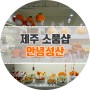 성산일출봉 앞 제주소품샵 제주도여행 기념품 안녕성산