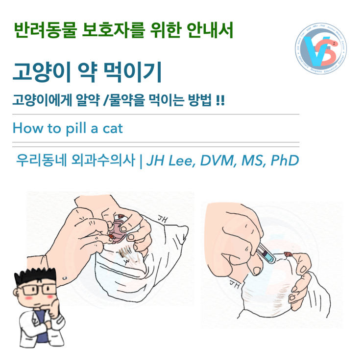[동물병원안내서] 고양이에게 알약 /물약을 먹이는 방법 !! How to pill a cat : 네이버 블로그