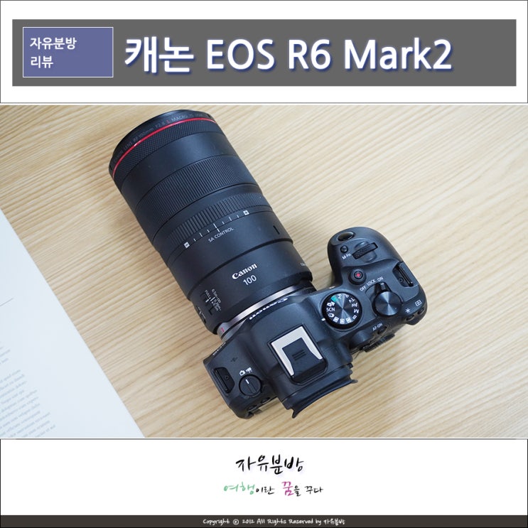 캐논 EOS R6 Mark2 풀프레임 미러리스 카메라, RF100mm F2.8 L MACRO IS USM : 네이버 블로그