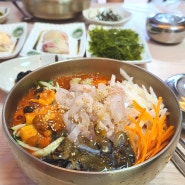 경주 양남 동일횟집 시원한 물회 맛집