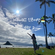 하와이 신혼여행 day 2 ♡ 하와이 섬투어, dole 돌플랜테이션 파인애플 농장 투어, 와이켈레 아울렛, 공연 관람