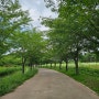 인천 서구 가볼만한곳 드림파크 야생화공원.