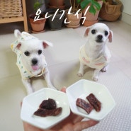 강아지 수제간식 냠냠 잘먹는 요니간식